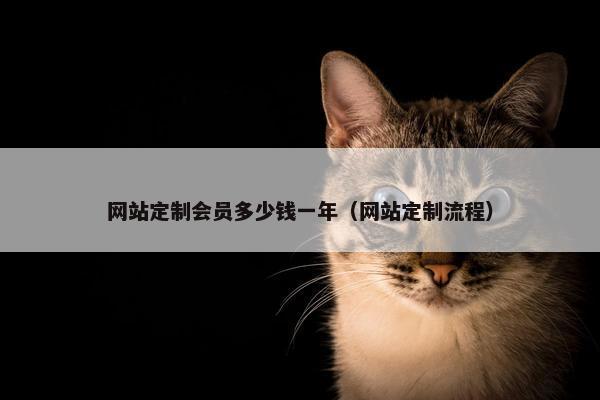 网站定制会员多少钱一年（网站定制流程）