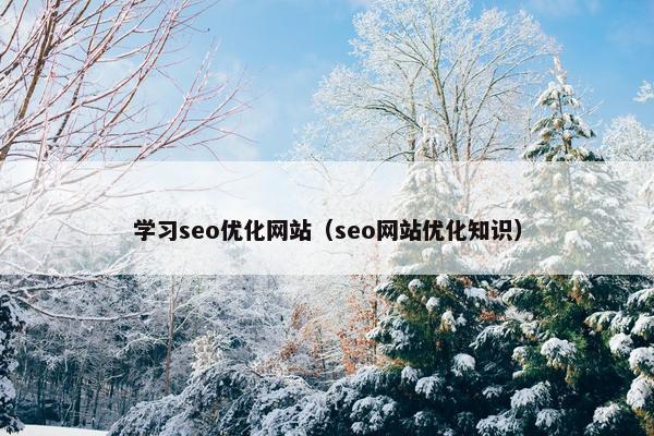 学习seo优化网站（seo网站优化知识）
