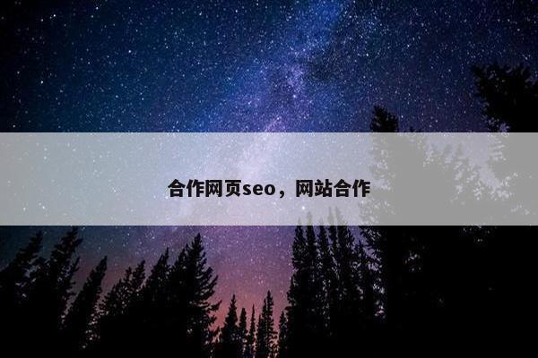 合作网页seo，网站合作
