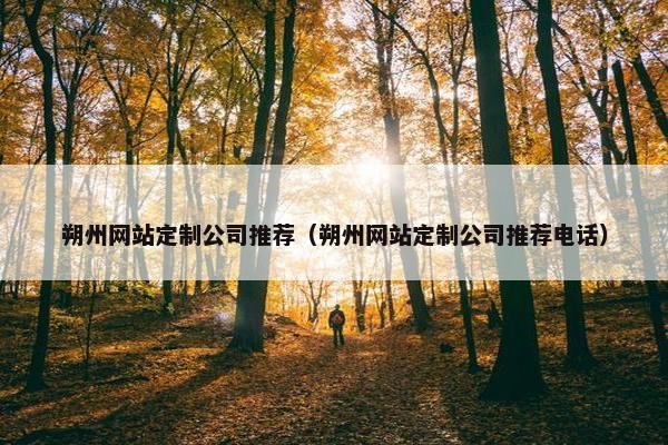 朔州网站定制公司推荐（朔州网站定制公司推荐电话）