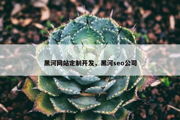 黑河网站定制开发，黑河seo公司