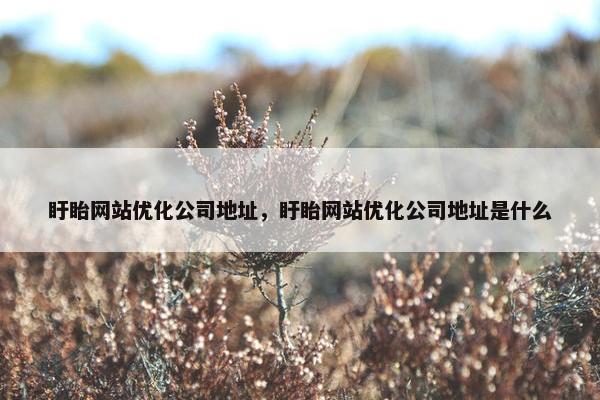 盱眙网站优化公司地址，盱眙网站优化公司地址是什么