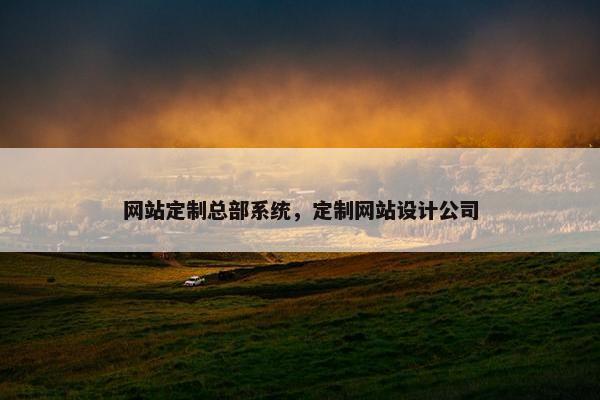 网站定制总部系统，定制网站设计公司