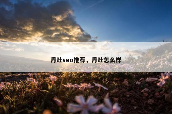 丹灶seo推荐，丹灶怎么样