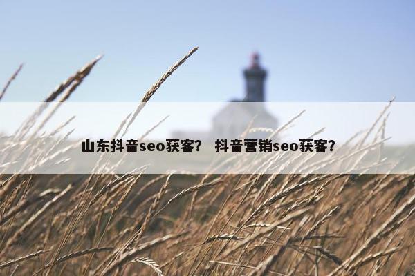 山东抖音seo获客？ 抖音营销seo获客？