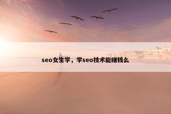 seo女生学，学seo技术能赚钱么