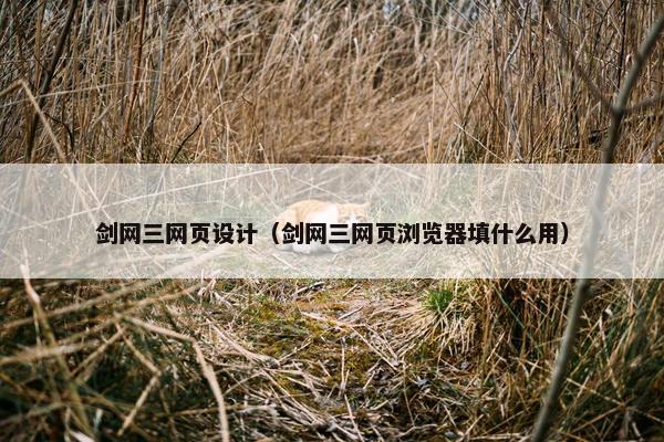 剑网三网页设计（剑网三网页浏览器填什么用）