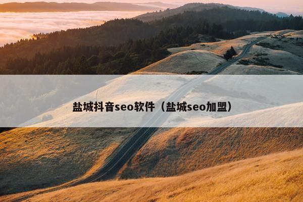 盐城抖音seo软件（盐城seo加盟）