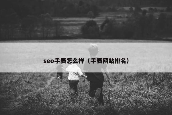 seo手表怎么样（手表网站排名）