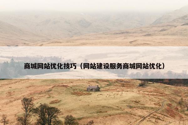 商城网站优化技巧（网站建设服务商城网站优化）