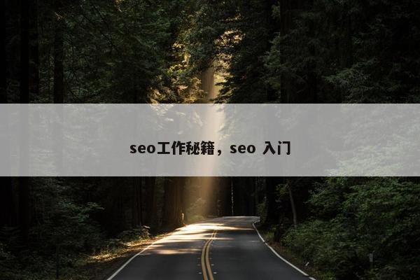 seo工作秘籍，seo 入门