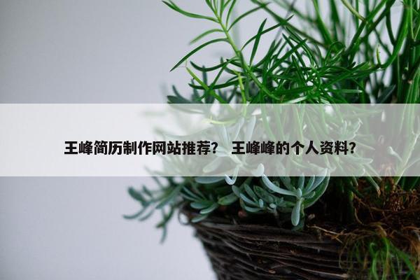 王峰简历制作网站推荐？ 王峰峰的个人资料？