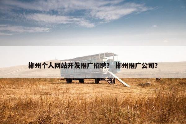 郴州个人网站开发推广招聘？ 郴州推广公司？