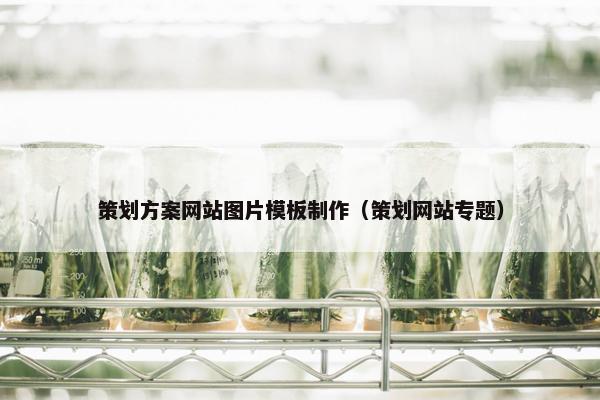 策划方案网站图片模板制作（策划网站专题）