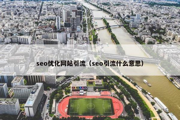 seo优化网站引流（seo引流什么意思）