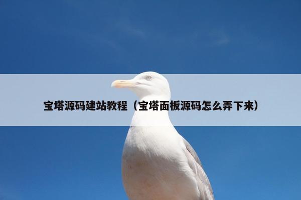 宝塔源码建站教程（宝塔面板源码怎么弄下来）