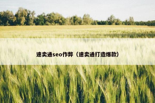 速卖通seo作弊（速卖通打造爆款）