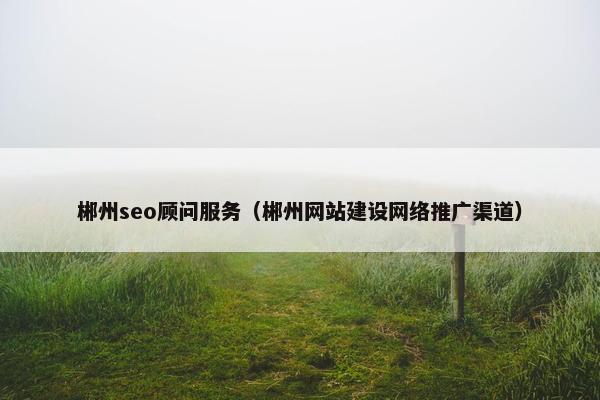 郴州seo顾问服务（郴州网站建设网络推广渠道）