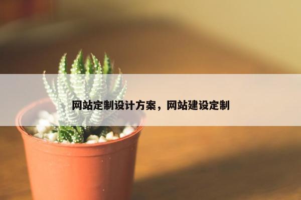 网站定制设计方案，网站建设定制