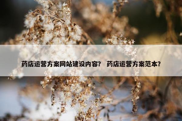 药店运营方案网站建设内容？ 药店运营方案范本？