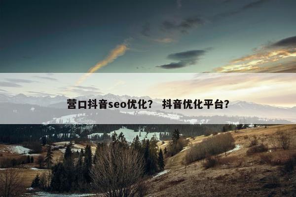 营口抖音seo优化？ 抖音优化平台？