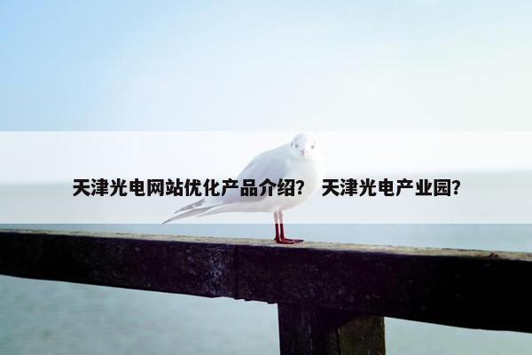 天津光电网站优化产品介绍？ 天津光电产业园？