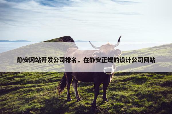 静安网站开发公司排名，在静安正规的设计公司网站