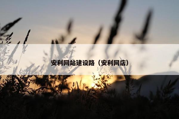 安利网站建设路（安利网店）