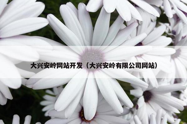 大兴安岭网站开发（大兴安岭有限公司网站）