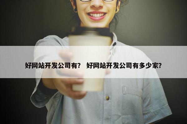好网站开发公司有？ 好网站开发公司有多少家？