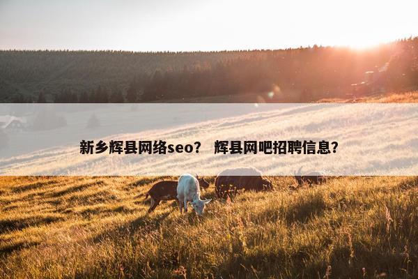 新乡辉县网络seo？ 辉县网吧招聘信息？