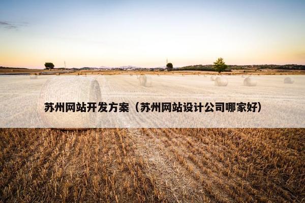苏州网站开发方案（苏州网站设计公司哪家好）