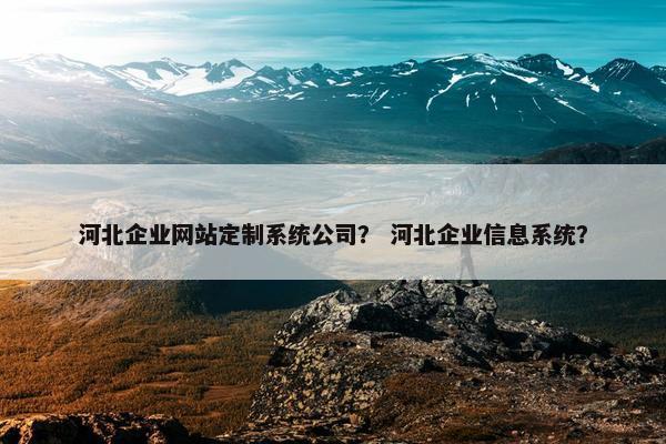 河北企业网站定制系统公司？ 河北企业信息系统？