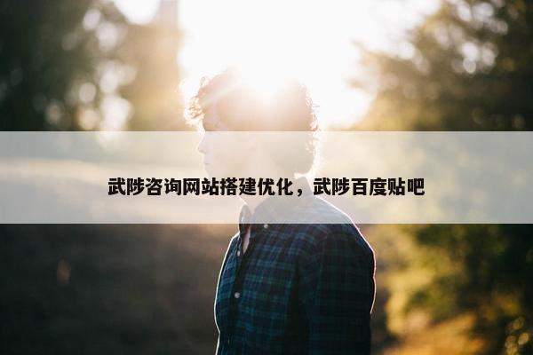 武陟咨询网站搭建优化，武陟百度贴吧