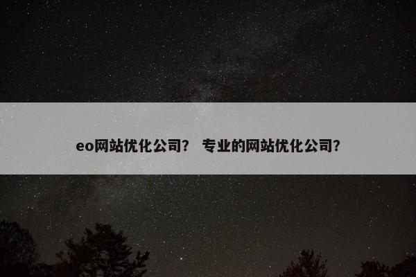 eo网站优化公司？ 专业的网站优化公司？