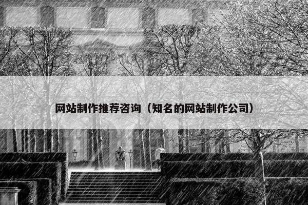 网站制作推荐咨询（知名的网站制作公司）