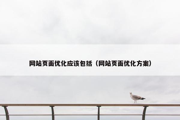 网站页面优化应该包括（网站页面优化方案）