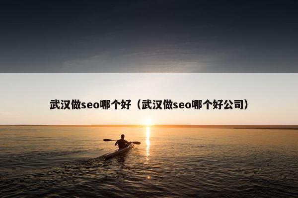 武汉做seo哪个好（武汉做seo哪个好公司）