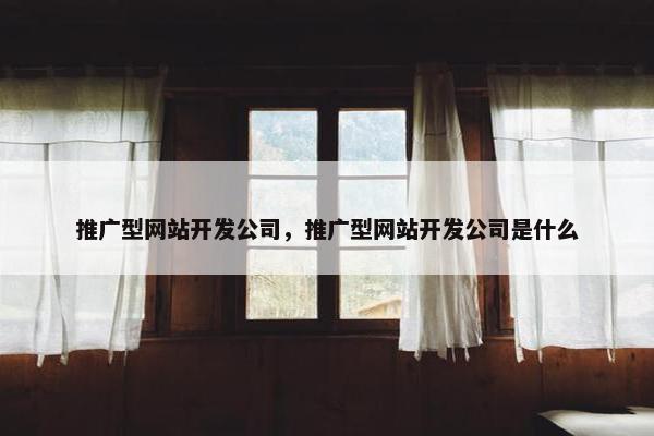 推广型网站开发公司，推广型网站开发公司是什么
