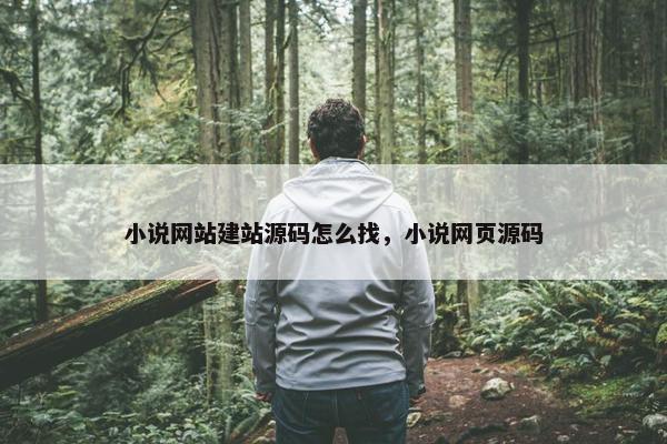 小说网站建站源码怎么找，小说网页源码