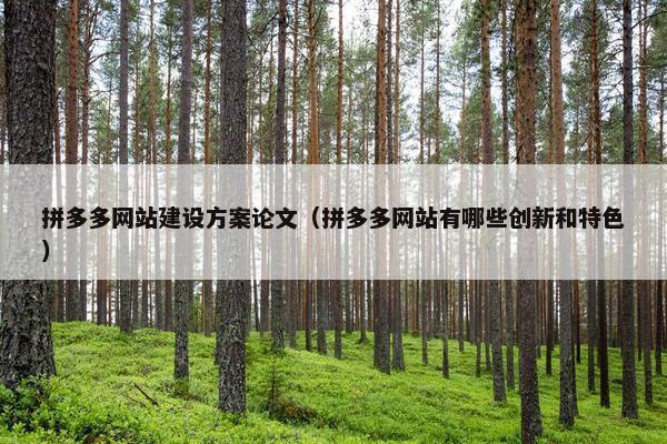 拼多多网站建设方案论文（拼多多网站有哪些创新和特色）
