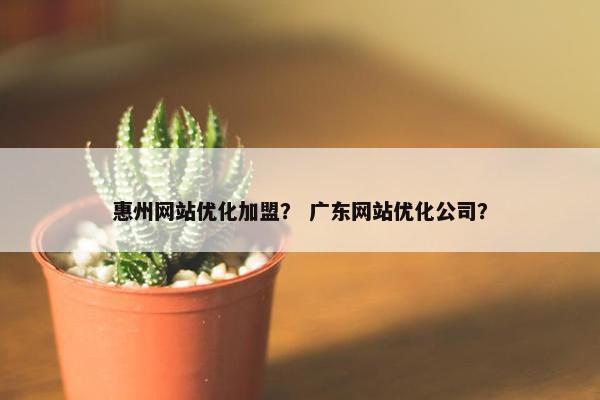 惠州网站优化加盟？ 广东网站优化公司？