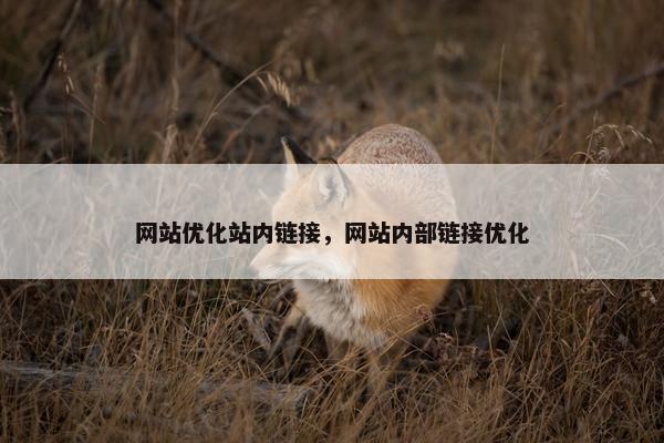 网站优化站内链接，网站内部链接优化