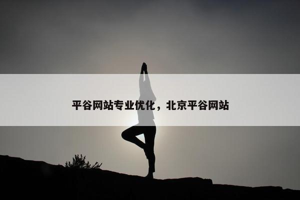 平谷网站专业优化，北京平谷网站