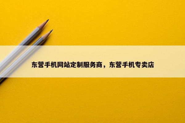 东营手机网站定制服务商，东营手机专卖店