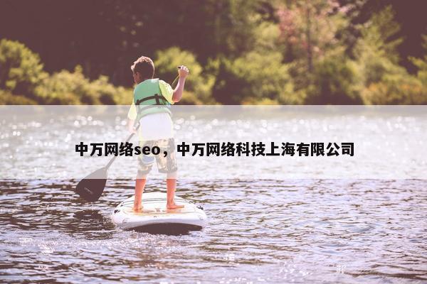 中万网络seo，中万网络科技上海有限公司