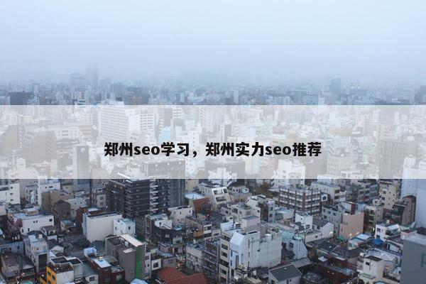 郑州seo学习，郑州实力seo推荐