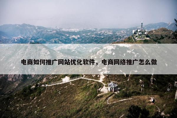 电商如何推广网站优化软件，电商网络推广怎么做