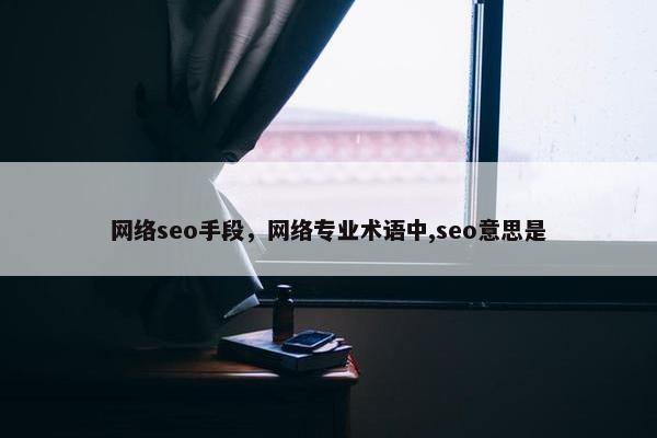 网络seo手段，网络专业术语中,seo意思是