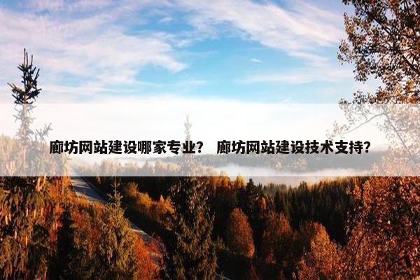 廊坊网站建设哪家专业？ 廊坊网站建设技术支持？